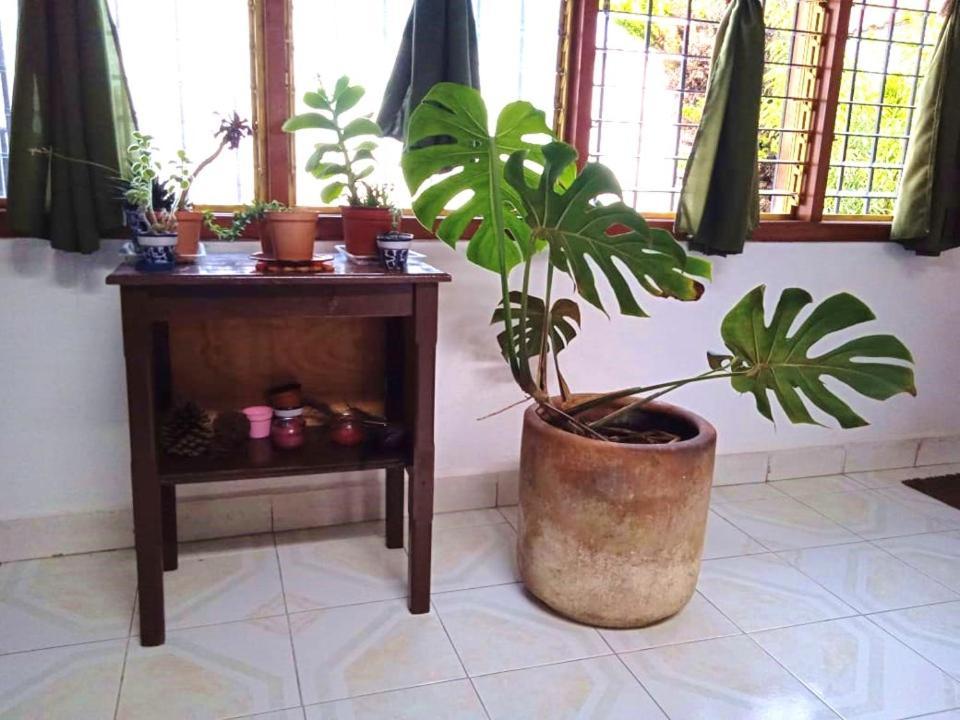 Casa Natura San Cristóbal de Las Casas エクステリア 写真
